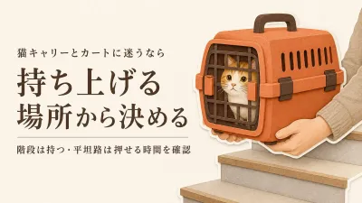 猫と病院へ行くなら軽量キャリーとペットカートのどちら？経路別の選び方
