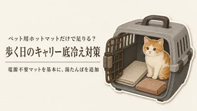 ペット用ホットマットは猫と病院へ歩いて行く日に使える？キャリーの底冷えを電源・レンジ・充電で選ぶ